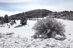 Bryce Canyon