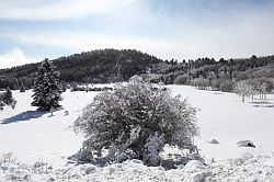 Bryce Canyon