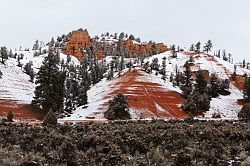 Zion - Mount Carmel highway