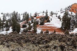 Zion - Mount Carmel highway