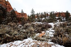 Zion - Mount Carmel highway