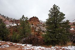 Zion - Mount Carmel highway