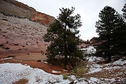 Zion - Mount Carmel highway