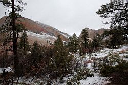 Zion - Mount Carmel highway