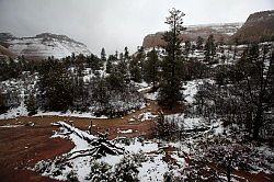 Zion - Mount Carmel highway