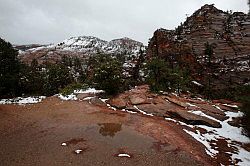 Zion - Mount Carmel highway