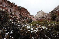 Zion - Mount Carmel highway