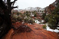 Zion - Mount Carmel highway