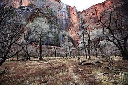 Zion Canyon Scenic Drive