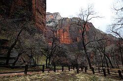 Zion Canyon Scenic Drive