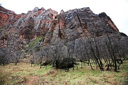 Zion Canyon Scenic Drive