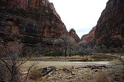 Zion Canyon Scenic Drive