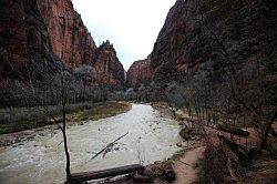 Zion Canyon Scenic Drive