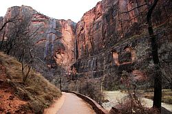 Zion Canyon Scenic Drive