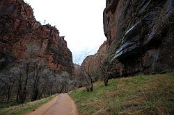 Zion Canyon Scenic Drive