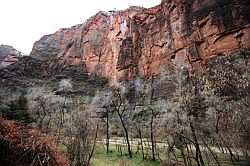 Zion Canyon Scenic Drive