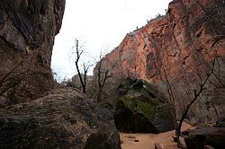 Zion Canyon Scenic Drive