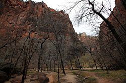 Zion Canyon Scenic Drive