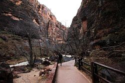 Zion Canyon Scenic Drive