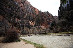 Zion Canyon Scenic Drive