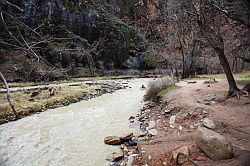 Zion Canyon Scenic Drive