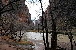 Zion Canyon Scenic Drive