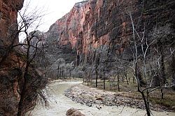 Zion Canyon Scenic Drive