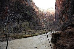 Zion Canyon Scenic Drive