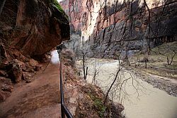 Zion Canyon Scenic Drive