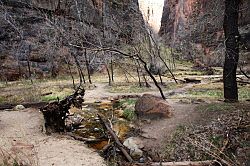 Zion Canyon Scenic Drive