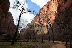 Zion Canyon Scenic Drive