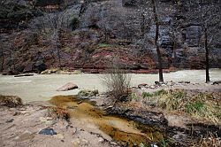 Zion Canyon Scenic Drive