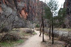 Zion Canyon Scenic Drive