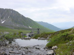 Hatcher pass - Independence mine