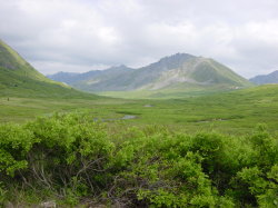 Hatcher pass