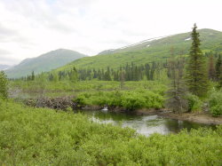 Hatcher pass - beverdam