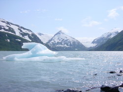 Onderweg naar Seward - Portage glacier