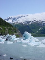 Onderweg naar Seward - Portage glacier