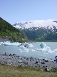 Onderweg naar Seward - Portage glacier