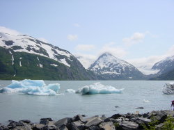 Onderweg naar Seward - Portage glacier