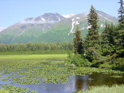 Onderweg naar Seward