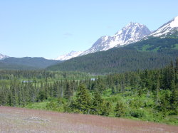 Onderweg naar Seward - Portage glacier