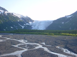 Seward - de Exit glacier