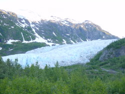 Seward - de Exit glacier