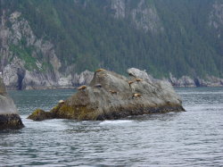 Seward - rondvaart met de Kenai Explorer