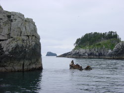 Seward - rondvaart met de Kenai Explorer