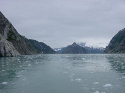 Seward - rondvaart met de Kenai Explorer; de Northwest gacier