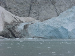 Seward - rondvaart met de Kenai Explorer; de Northwest gacier