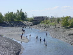 Anchorage - zalm vissen in Ships Creek