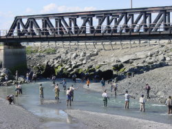 Anchorage - zalm vissen in Ships Creek